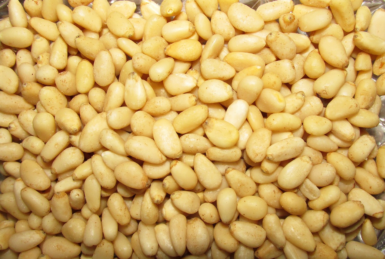 pine nuts, healthy, food-3091390.jpg