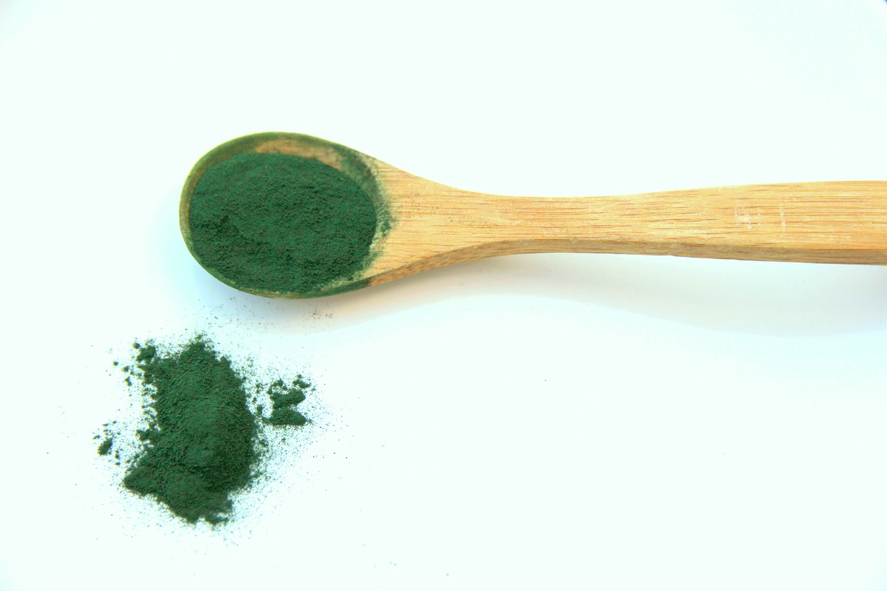 spirulina, seaweed, vegetable proteins-1829080.jpg