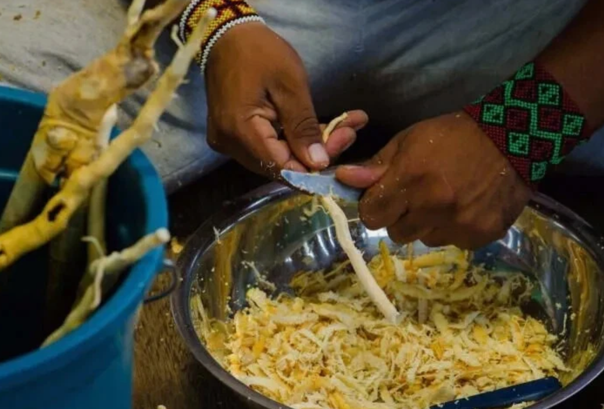 סננגה נוזלית